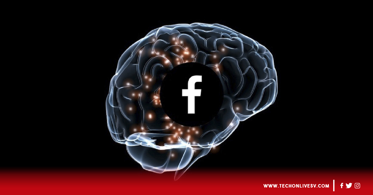 Cerebro, Equipo, Empresa, Facebook, Mente, Redes Sociales,