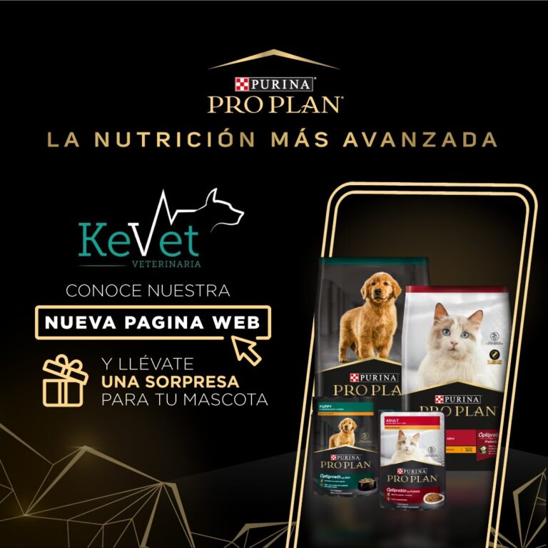 Kevet Veterinaria