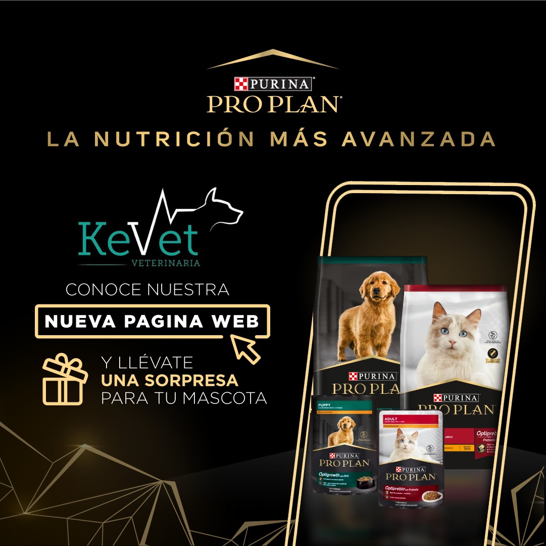 Kevet Veterinaria