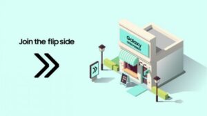 Fiebre FLIP