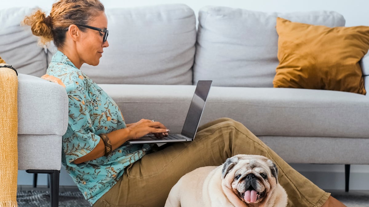tips-to-create-a-pet-friendly-computer-room