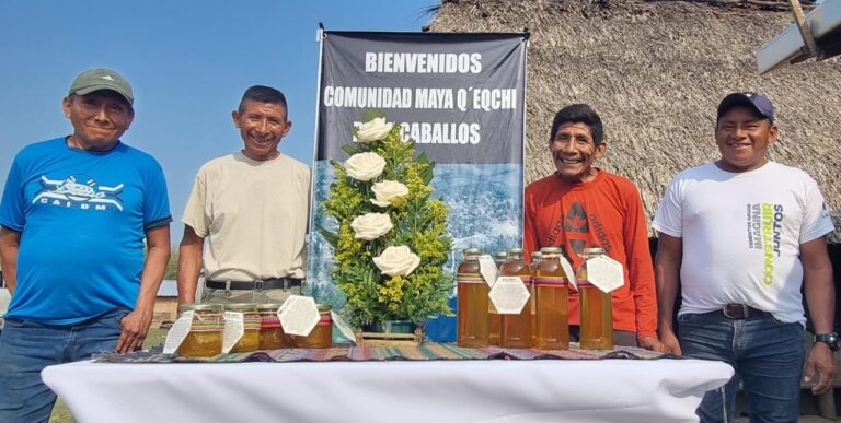 Día internacional de la abejas